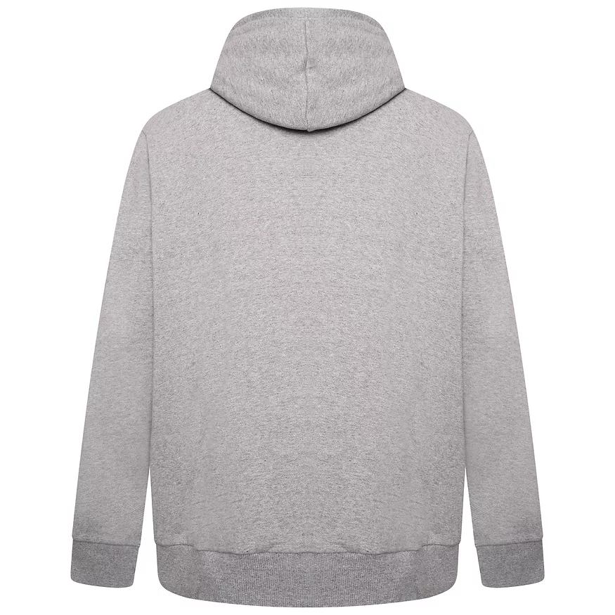 Light Grey Casual Hoody